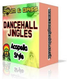 DRUM AND BASS DANCEHALL VOCALS